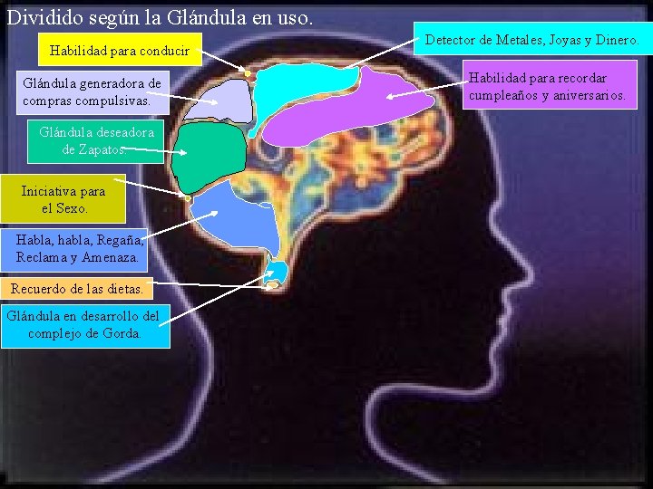 Dividido según la Glándula en uso. Habilidad para conducir. Glándula generadora de compras compulsivas.