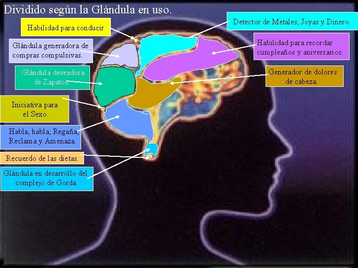 Dividido según la Glándula en uso. Habilidad para conducir. Glándula generadora de compras compulsivas.