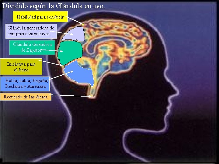 Dividido según la Glándula en uso. Habilidad para conducir. Glándula generadora de compras compulsivas.