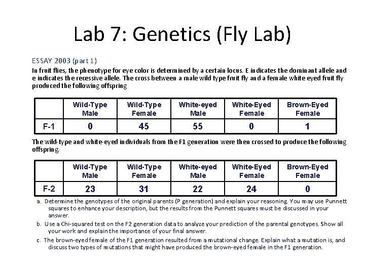 Lab 7: Genetics (Fly Lab) ESSAY 2003 (part 1) In fruit flies, the phenotype