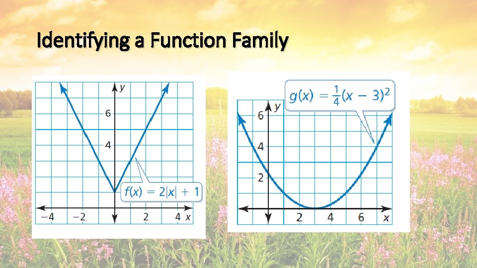 Identifying a Function Family Identifying a Function Family