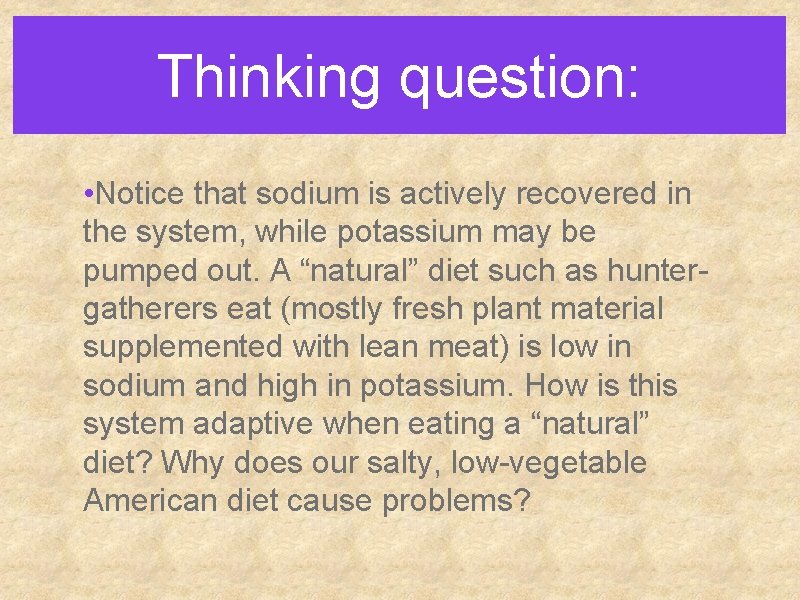 Thinking question: • Notice that sodium is actively recovered in the system, while potassium Thinking question: • Notice that sodium is actively recovered in the system, while potassium