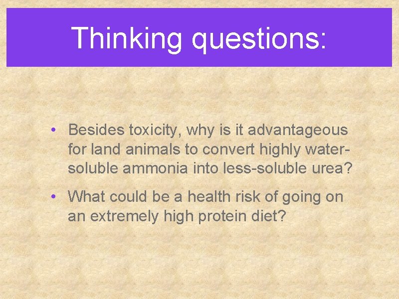 Thinking questions: • Besides toxicity, why is it advantageous for land animals to convert Thinking questions: • Besides toxicity, why is it advantageous for land animals to convert