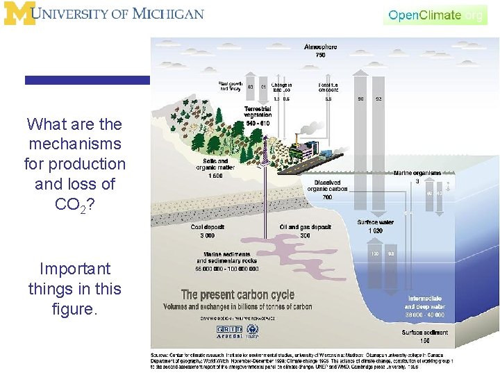 What are the mechanisms for production and loss of CO 2? Important things in