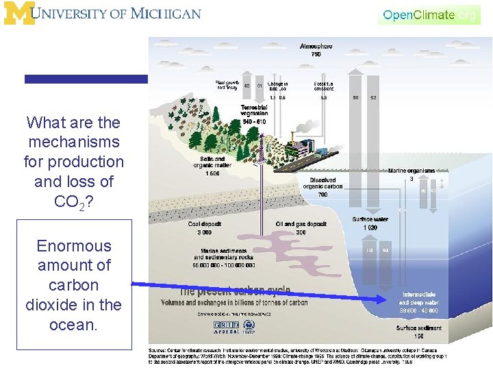 What are the mechanisms for production and loss of CO 2? Enormous amount of