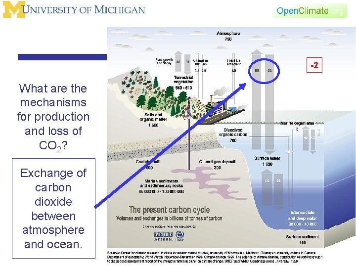 -2 What are the mechanisms for production and loss of CO 2? Exchange of