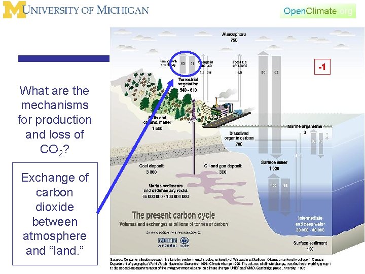 -1 What are the mechanisms for production and loss of CO 2? Exchange of