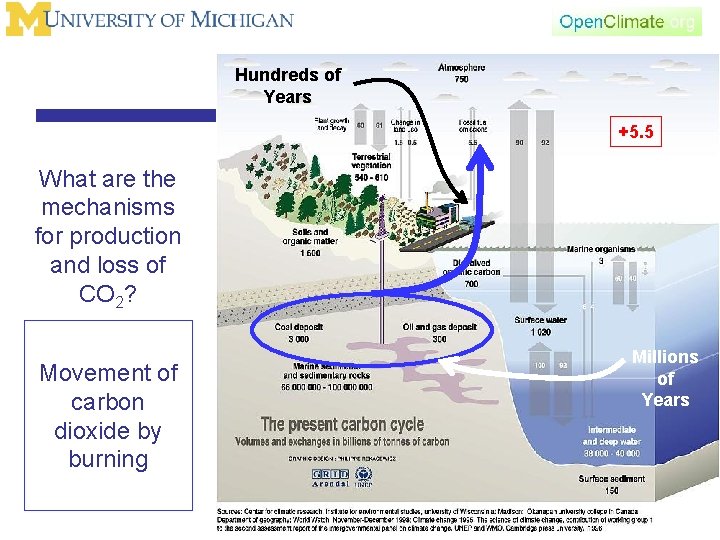 Hundreds of Years +5. 5 What are the mechanisms for production and loss of