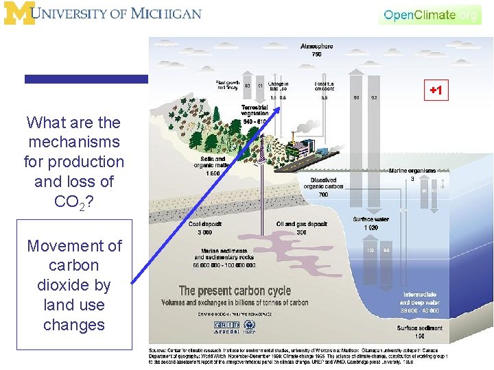 +1 What are the mechanisms for production and loss of CO 2? Movement of