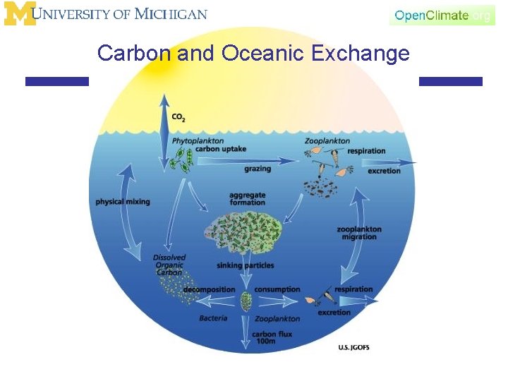 Carbon and Oceanic Exchange 