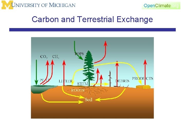 Carbon and Terrestrial Exchange 