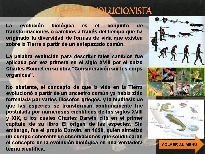 TEORÍA EVOLUCIONISTA La evolución biológica es el conjunto de transformaciones o cambios a través