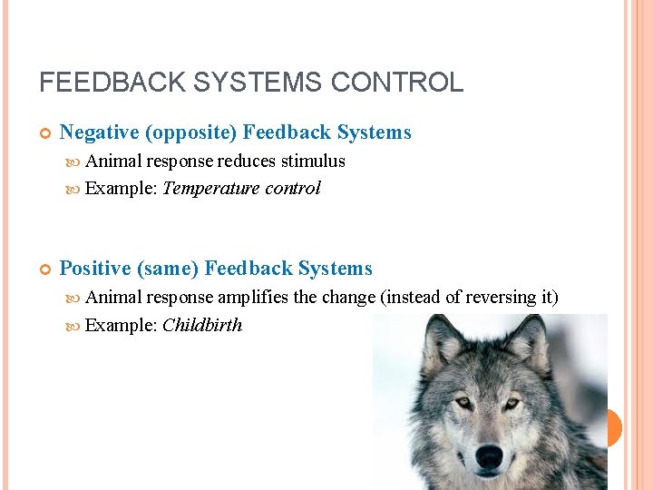 FEEDBACK SYSTEMS CONTROL Negative (opposite) Feedback Systems Animal response reduces stimulus Example: Temperature control