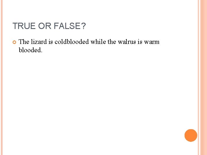 TRUE OR FALSE? The lizard is coldblooded while the walrus is warm blooded. 