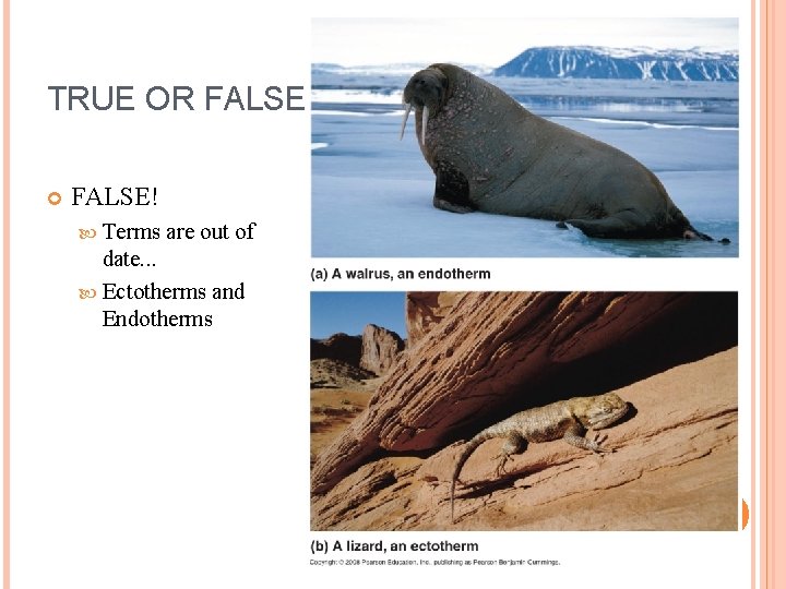 TRUE OR FALSE? FALSE! Terms are out of date. . . Ectotherms and Endotherms