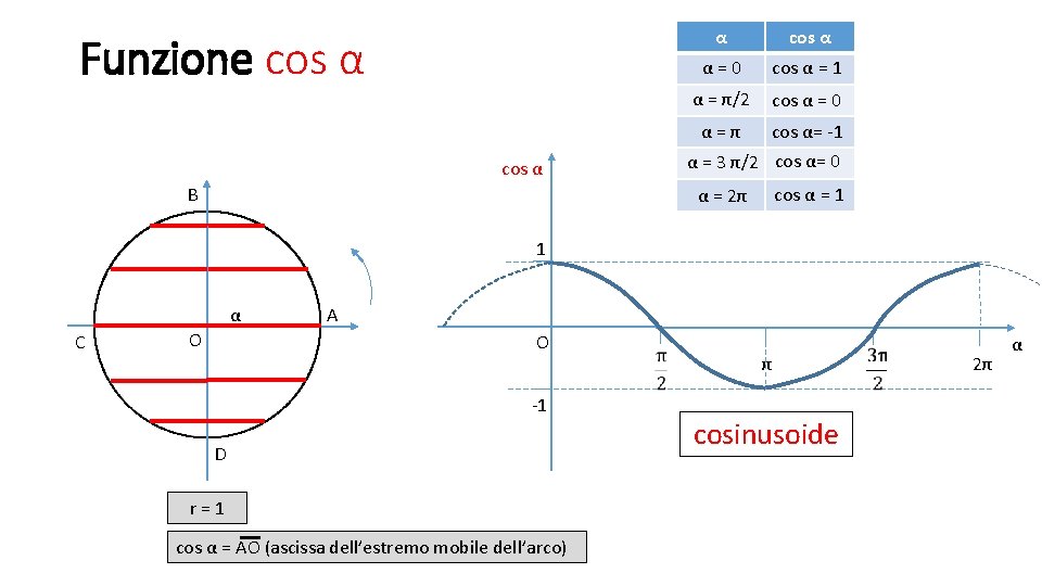 Funzione cos α α = 0 cos α = 1 α = π/2 cos