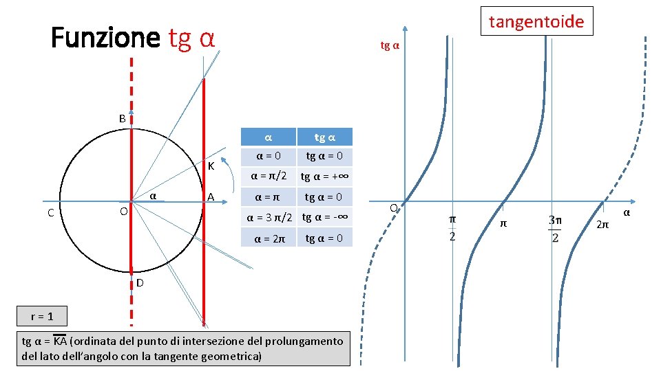 tangentoide Funzione tg α B K α C O A α α = 0