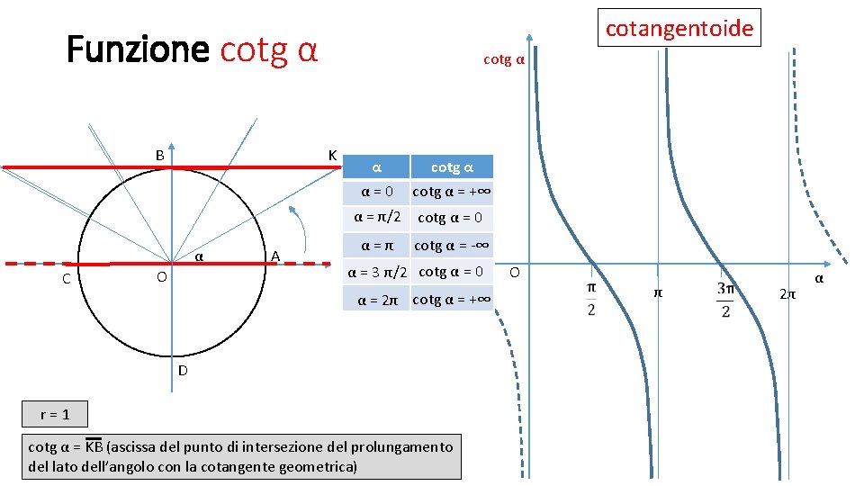 cotangentoide Funzione cotg α K B α C cotg α O A α α