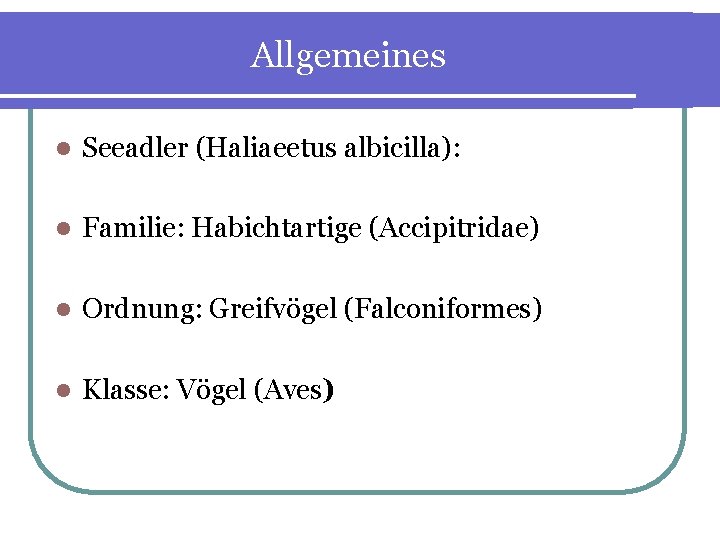 Allgemeines l Seeadler (Haliaeetus albicilla): l Familie: Habichtartige (Accipitridae) l Ordnung: Greifvögel (Falconiformes)