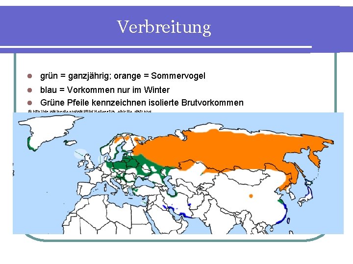  Verbreitung l grün = ganzjährig; orange = Sommervogel blau = Vorkommen nur im