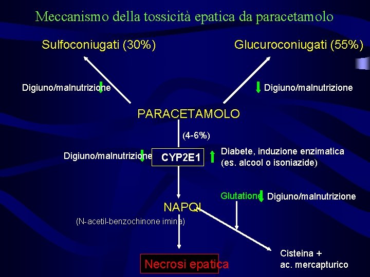 Meccanismo della tossicità epatica da paracetamolo Sulfoconiugati (30%) Glucuroconiugati (55%) Digiuno/malnutrizione PARACETAMOLO (4 -6%)