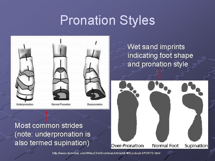 Pronation Styles Wet sand imprints indicating foot shape and pronation style Most common strides