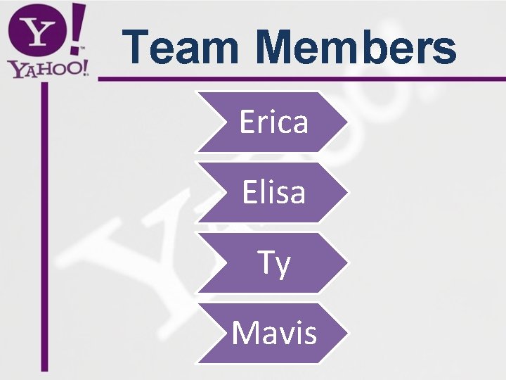 Team Members Erica Elisa Ty Mavis 