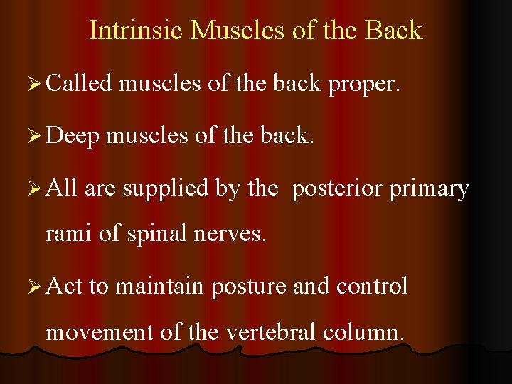 Intrinsic Muscles of the Back Ø Called Ø Deep Ø All muscles of the