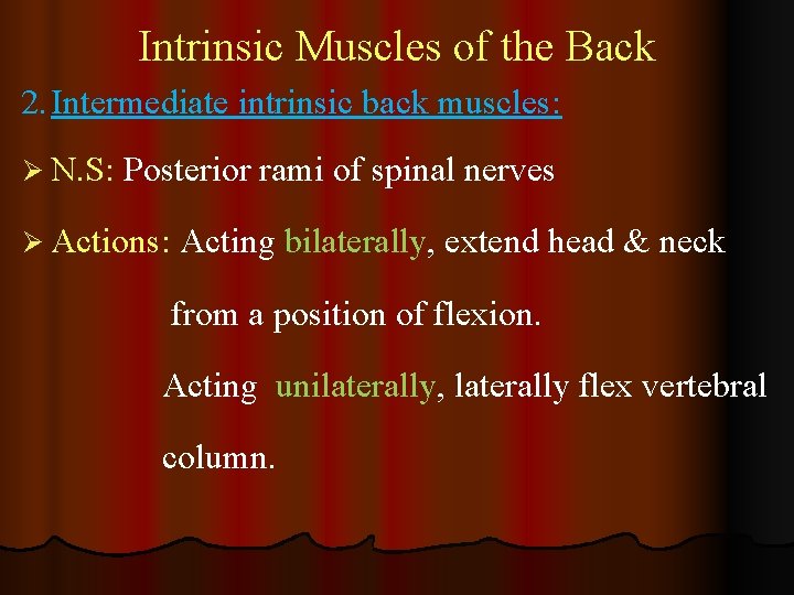 Intrinsic Muscles of the Back 2. Intermediate intrinsic back muscles: Ø N. S: Posterior