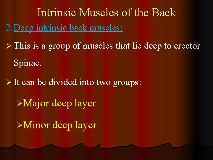 Intrinsic Muscles of the Back 2. Deep intrinsic back muscles: Ø This is a