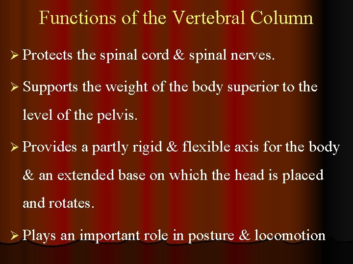 Functions of the Vertebral Column Ø Protects the spinal cord & spinal nerves. Ø