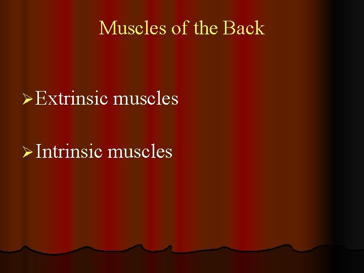 Muscles of the Back Ø Extrinsic Ø Intrinsic muscles 