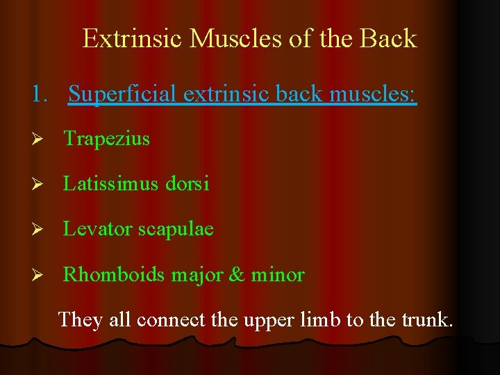 Extrinsic Muscles of the Back 1. Superficial extrinsic back muscles: Ø Trapezius Ø Latissimus