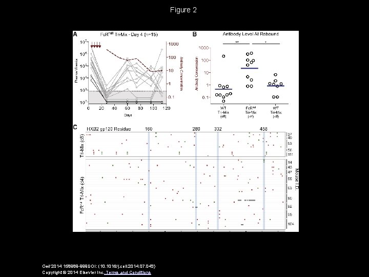 Figure 2 Cell 2014 158989 -999 DOI: (10. 1016/j. cell. 2014. 07. 043) Copyright