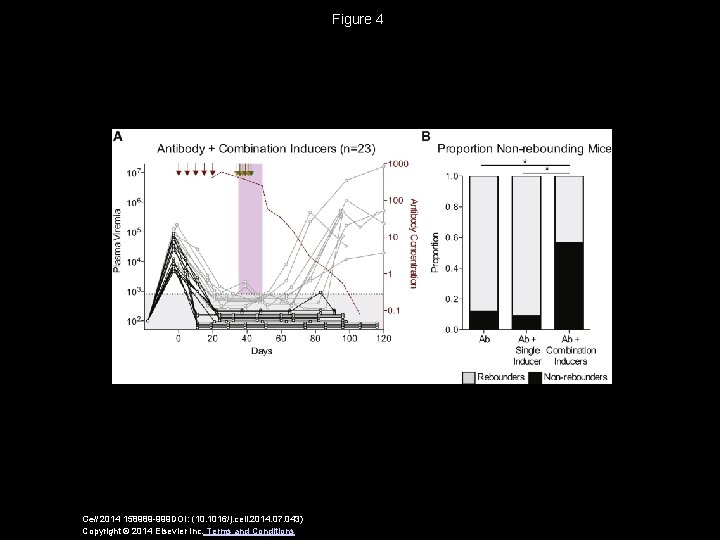 Figure 4 Cell 2014 158989 -999 DOI: (10. 1016/j. cell. 2014. 07. 043) Copyright