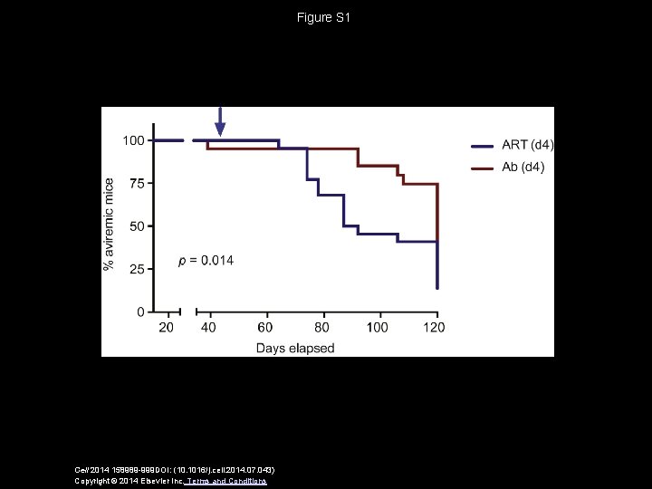 Figure S 1 Cell 2014 158989 -999 DOI: (10. 1016/j. cell. 2014. 07. 043)