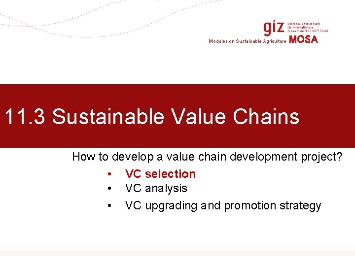 Modules on Sustainable Agriculture MOSA 11. 3 Sustainable Value Chains How to develop a