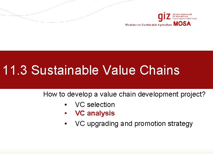 Modules on Sustainable Agriculture MOSA 11. 3 Sustainable Value Chains How to develop a