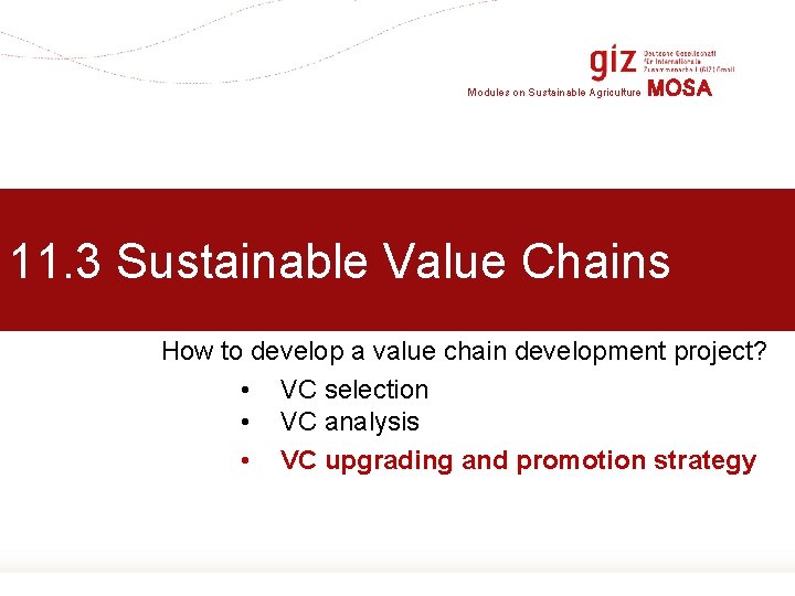 Modules on Sustainable Agriculture MOSA 11. 3 Sustainable Value Chains How to develop a