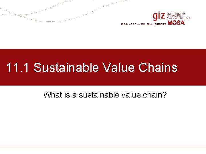 Modules on Sustainable Agriculture MOSA 11. 1 Sustainable Value Chains What is a sustainable