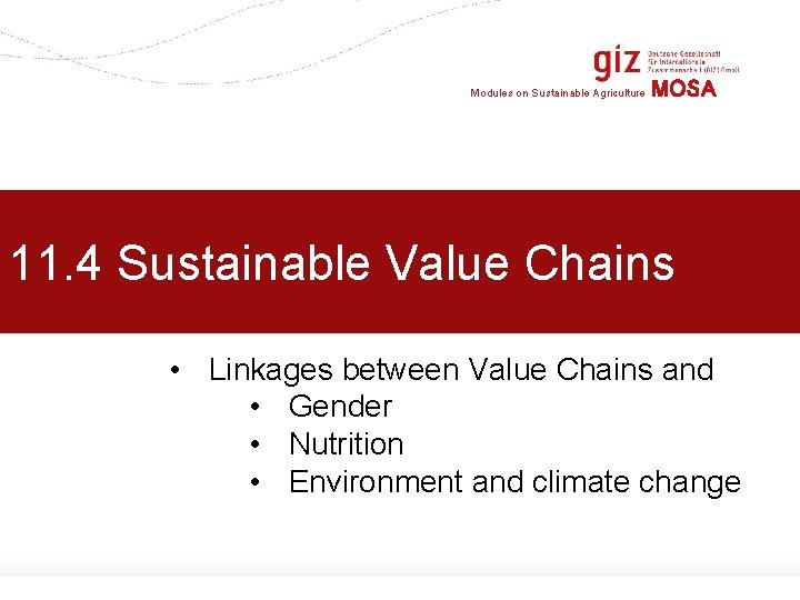 Modules on Sustainable Agriculture MOSA 11. 4 Sustainable Value Chains • Linkages between Value