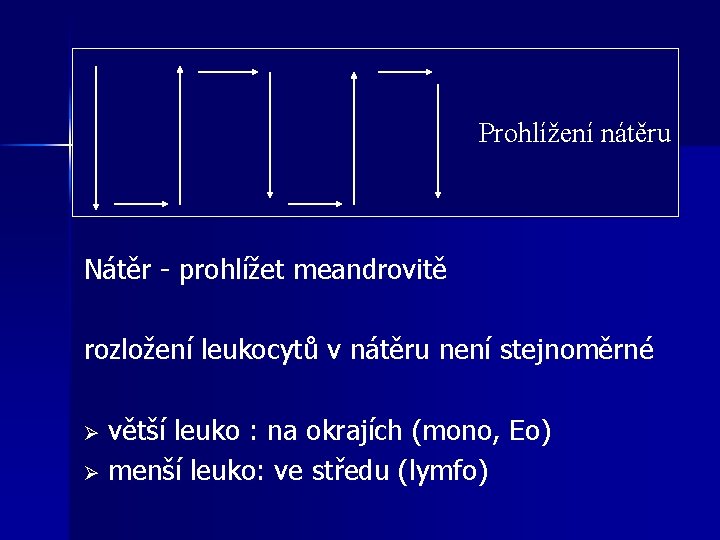 Prohlížení nátěru Nátěr - prohlížet meandrovitě rozložení leukocytů v nátěru není stejnoměrné větší leuko