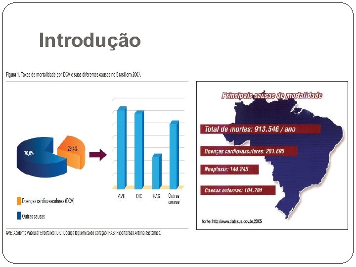 Introdução 