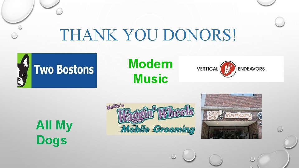 THANK YOU DONORS! Modern Music All My Dogs 