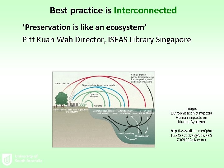 Best practice is Interconnected ‘Preservation is like an ecosystem’ Pitt Kuan Wah Director, ISEAS