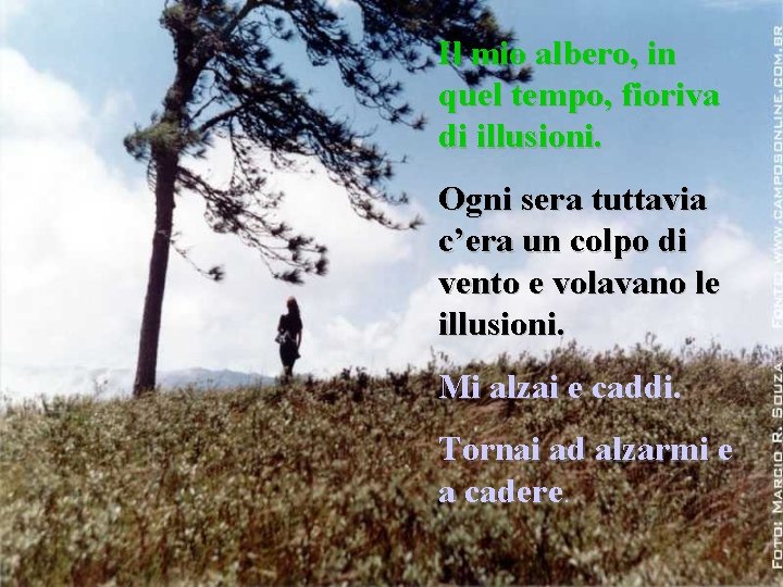 Il mio albero, in quel tempo, fioriva di illusioni. Ogni sera tuttavia c’era un