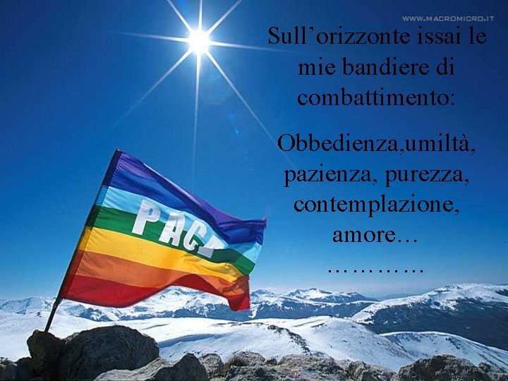 Sull’orizzonte issai le mie bandiere di combattimento: Obbedienza, umiltà, pazienza, purezza, contemplazione, amore… …………