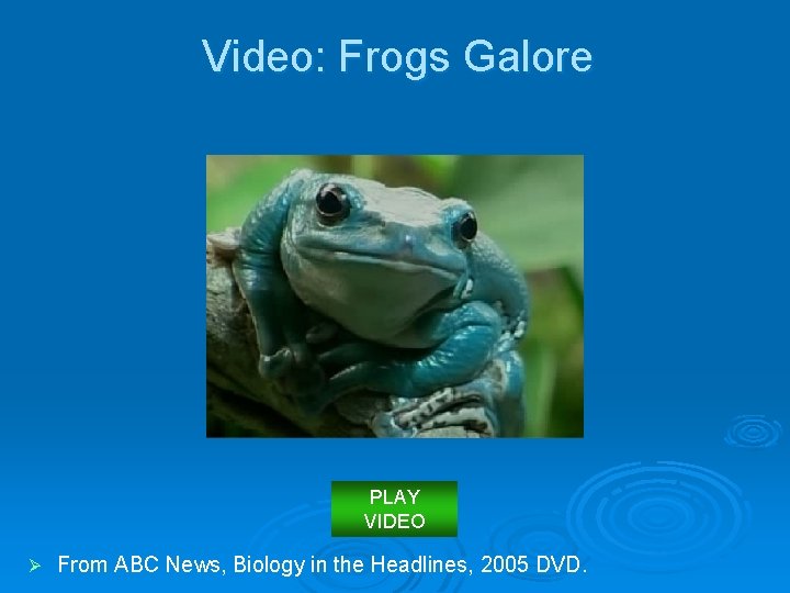 Video: Frogs Galore PLAY VIDEO Ø From ABC News, Biology in the Headlines, 2005