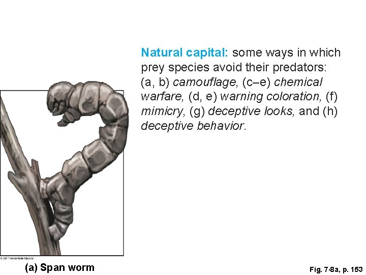 Natural capital: some ways in which prey species avoid their predators: (a, b) camouflage,