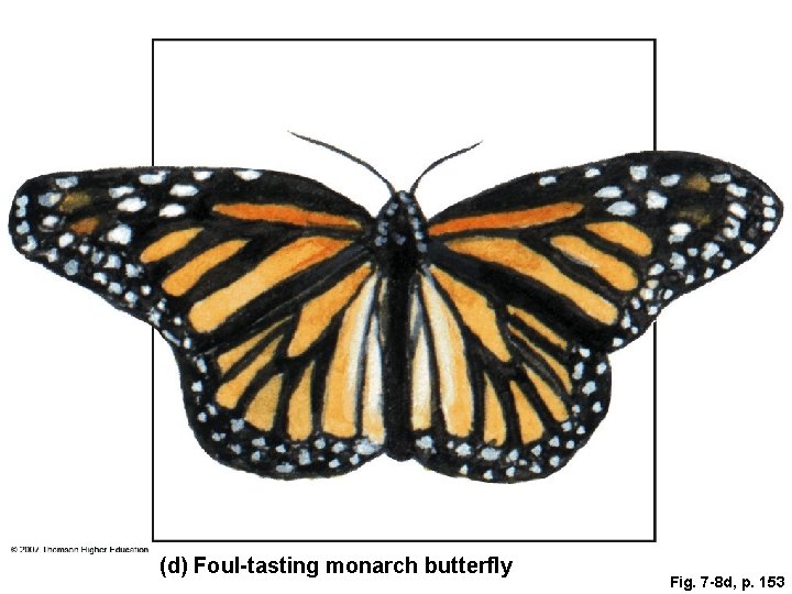 (d) Foul-tasting monarch butterfly Fig. 7 -8 d, p. 153 
